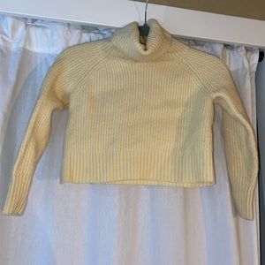Aritzia Cropped Sweater